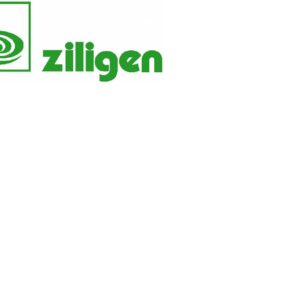 ziligen